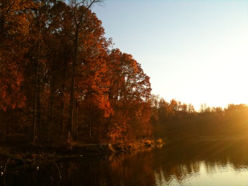 Autumn trees with vibrant orange leaves reflect in a calm lake under a clear sky at sunset.