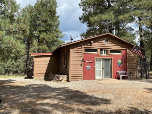 A rustic wooden cabin surrounded by tall pine trees, featuring a red door and an American flag.