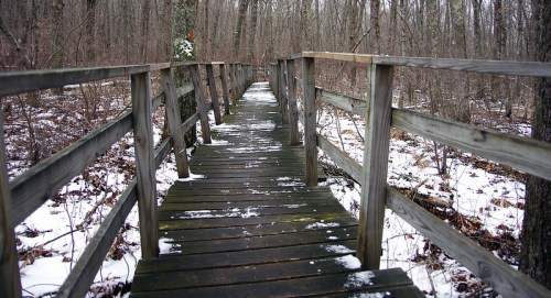 A wooden boardwalk winding through a snowy forest, surrounded by bare trees and a tranquil atmosphere.