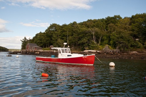 A red boat floats in calm water near a wooded shore, with mooring buoys visible in the foreground.