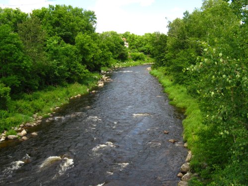 A serene river flows through lush green trees and grass under a clear blue sky.