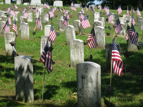 Graveyard with headstones marked by small American flags, honoring veterans and fallen soldiers.