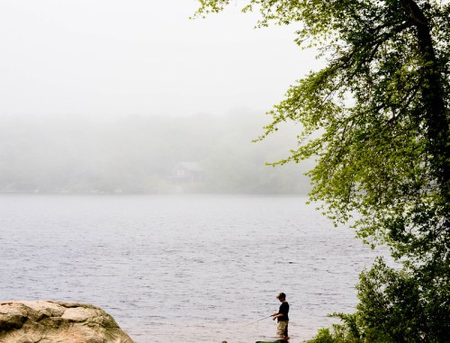 A person fishing by a foggy lake, surrounded by trees and a distant house partially obscured by mist.