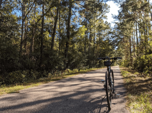 A bicycle parked on a quiet, tree-lined path with sunlight filtering through the leaves.