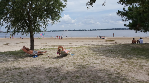 Two people relax on beach chairs under a tree, with a sandy beach and water in the background, and others enjoying the area.