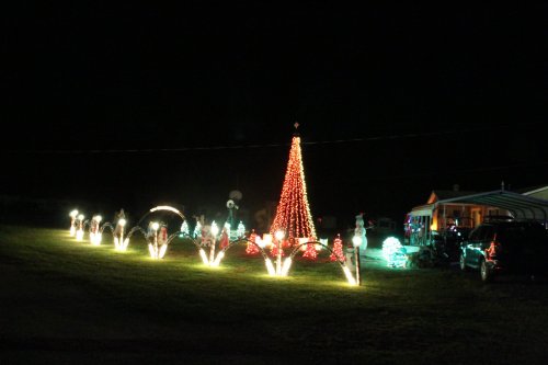 Colorful Christmas lights illuminate a yard at night, featuring a tall tree and festive decorations.