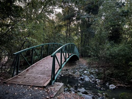 A green metal bridge arches over a rocky stream, surrounded by lush trees in a serene forest setting.