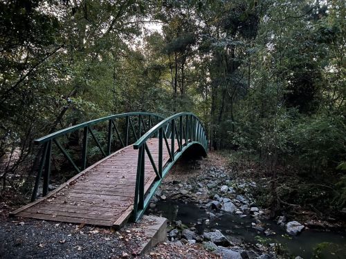 A green arched bridge spans a small creek, surrounded by lush trees and rocky terrain in a serene forest setting.