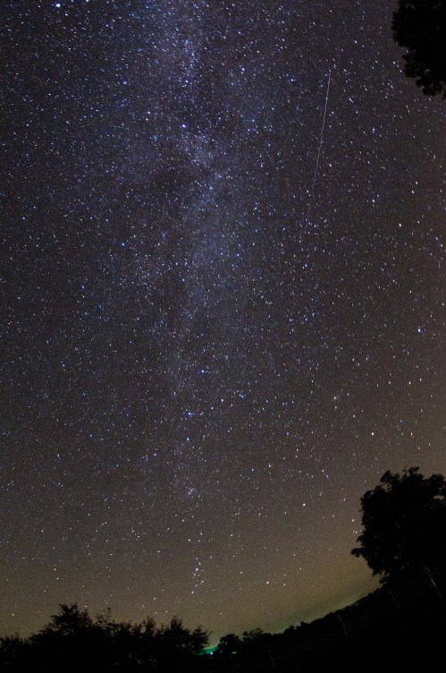 A starry night sky filled with countless stars and a faint streak of a meteor, framed by silhouettes of trees.