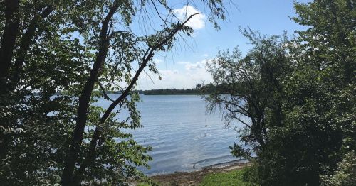 A serene lake view framed by lush green trees under a clear blue sky.