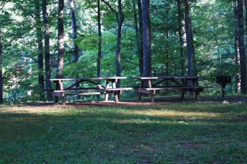 Two wooden picnic tables in a shaded area surrounded by trees, with sunlight filtering through the leaves.
