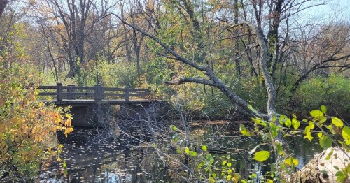 A wooden bridge over a calm pond, surrounded by trees with autumn foliage and clear blue skies.