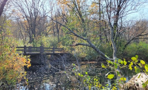A wooden bridge over a calm pond surrounded by trees with autumn foliage.