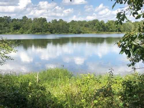 A serene lake surrounded by greenery, reflecting clouds and trees under a blue sky.