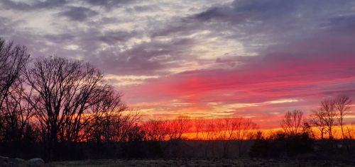 A vibrant sunset with shades of orange, pink, and purple, silhouetting bare trees against a cloudy sky.