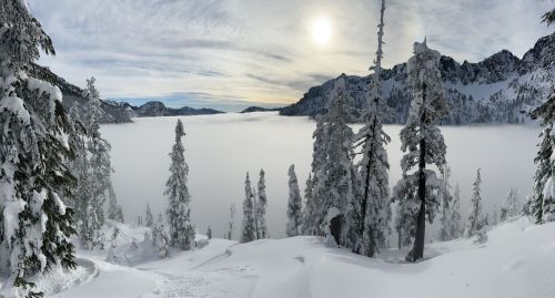 A snowy landscape with tall evergreen trees, a misty lake below, and a bright sun peeking through the clouds.