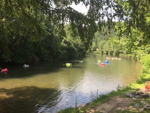 A serene river scene with colorful boats floating among lush green trees and a clear blue sky.
