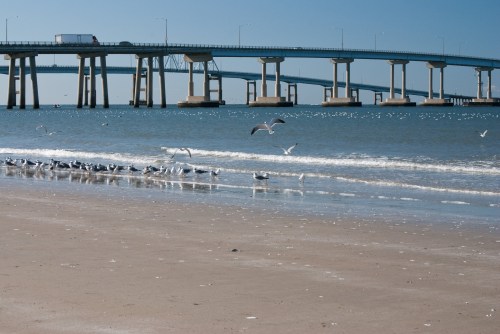 A sandy beach with seagulls, waves, and a bridge in the background under a clear blue sky.
