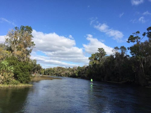 A serene river scene with lush greenery and a person paddleboarding under a blue sky with scattered clouds.
