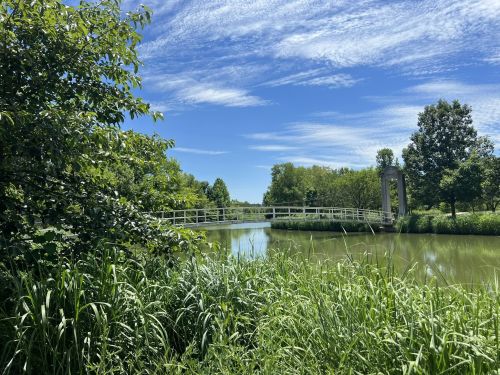 A serene landscape featuring a white bridge over a calm green pond, surrounded by lush trees and blue skies.