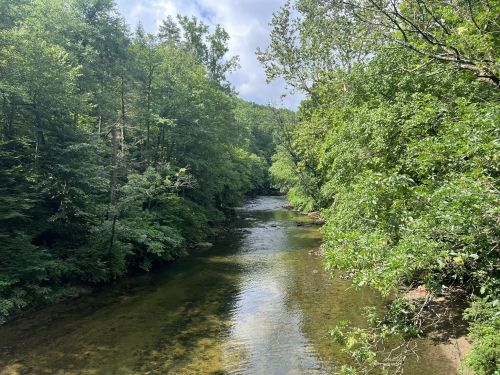 A serene river flows through a lush green forest under a partly cloudy sky.