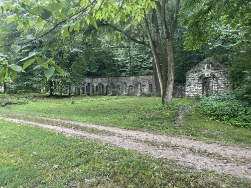 Stone ruins surrounded by lush greenery and trees, with a dirt path leading through the serene landscape.