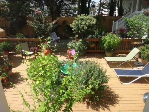 A vibrant garden with various plants, flowers, and seating areas on a wooden deck, surrounded by greenery.