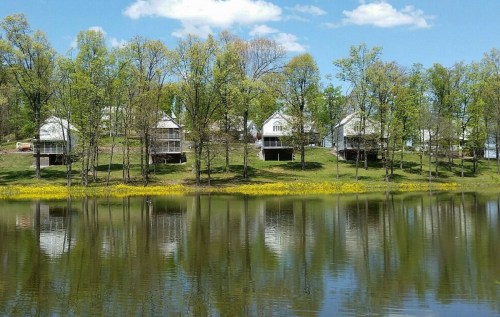 A serene lake reflects white houses and lush green trees under a blue sky with fluffy clouds. Yellow flowers line the shore.