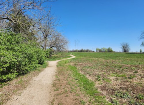 A winding dirt path through a green field under a clear blue sky, with trees lining the sides.