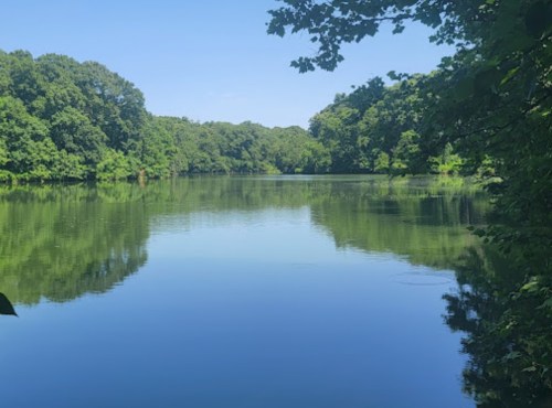 A serene lake surrounded by lush green trees under a clear blue sky, reflecting the landscape in calm waters.