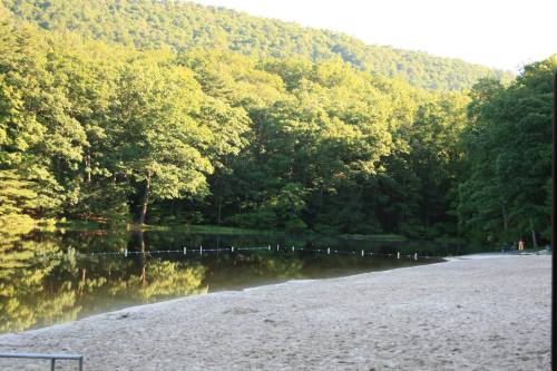A serene beach scene with soft sand, surrounded by lush green trees and a calm lake reflecting the landscape.