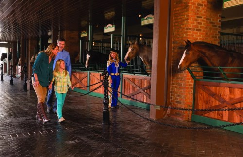 A family interacts with horses in a stable, while a guide in blue stands nearby, smiling at them.