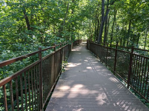 A wooden walkway surrounded by lush green trees, leading into a serene forest.