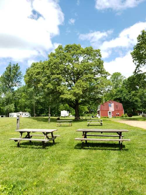 A grassy area with picnic tables, a large tree, and a red barn in the background under a partly cloudy sky.