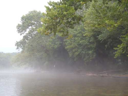 A misty river scene with trees lining the shore, creating a serene and tranquil atmosphere.