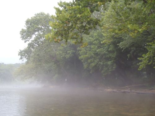 A misty river scene with trees lining the shore, creating a serene and tranquil atmosphere.