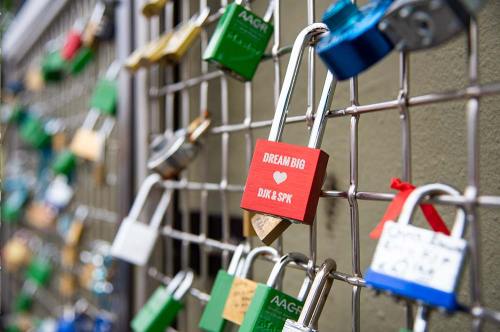 A close-up of colorful padlocks attached to a metal fence, featuring a red lock with "DREAM BIG" written on it.