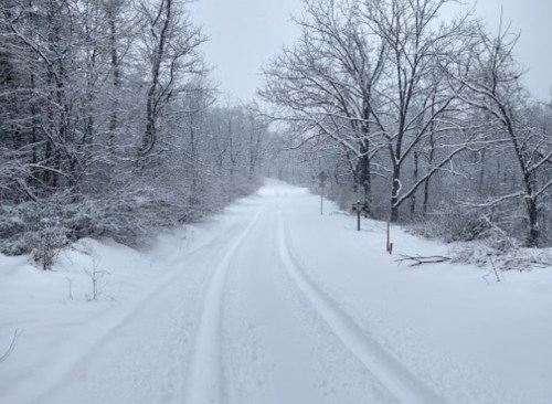 A snowy path through a forest, lined with bare trees, creating a serene winter landscape.
