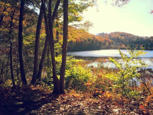A serene lake surrounded by vibrant autumn foliage and trees under a clear blue sky.