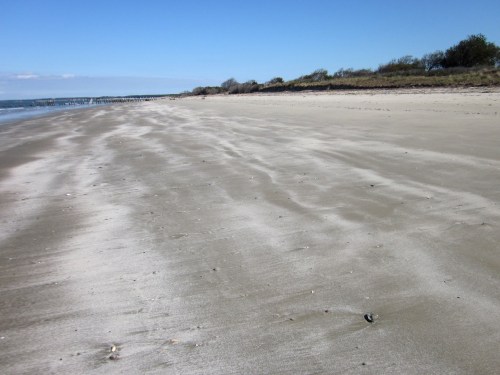 A sandy beach with gentle waves, under a clear blue sky and sparse vegetation in the background.