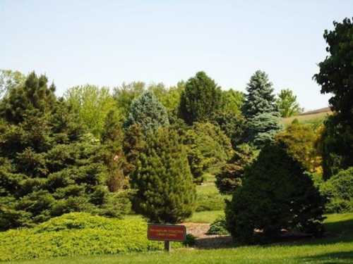 Lush green landscape featuring various trees and shrubs under a clear blue sky. A sign is visible in the foreground.