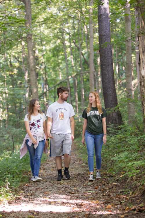 Three young adults walk along a forest trail, surrounded by green trees and sunlight filtering through the leaves.