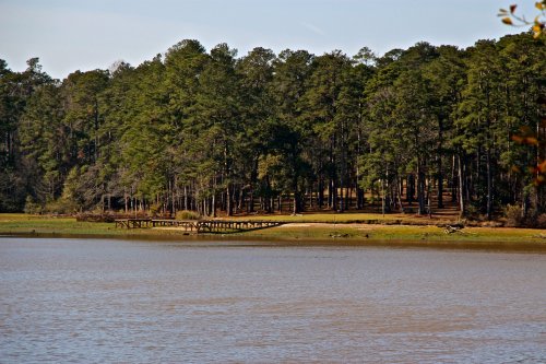 A serene lake surrounded by tall trees, with a wooden dock extending into the water.