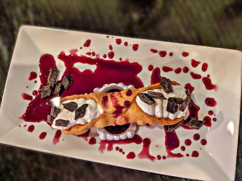 A dessert plate featuring a cannoli filled with cream, topped with chocolate pieces and drizzled with berry sauce.