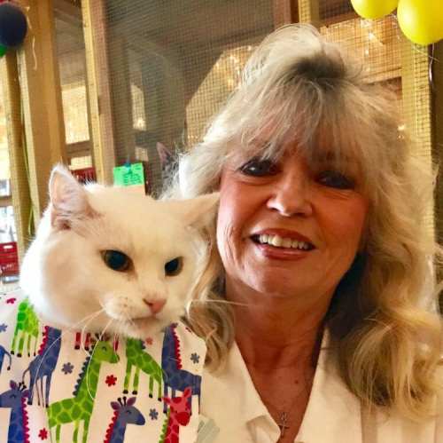 A woman smiles while holding a white cat dressed in a colorful giraffe-patterned outfit.