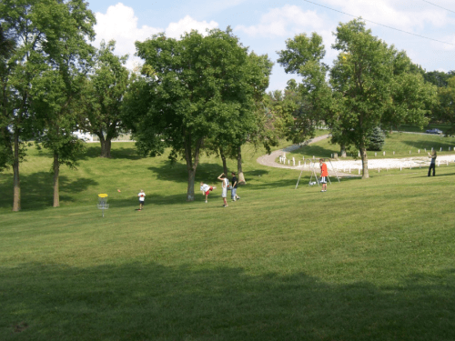 Children playing disc golf on a grassy hill, surrounded by trees and a clear blue sky.