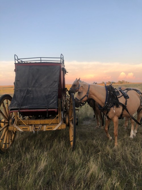 A horse-drawn carriage with two horses in harness, set against a colorful sunset over a grassy field.
