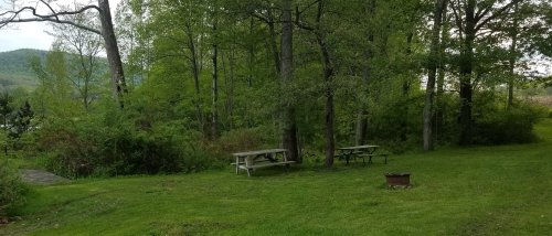 A serene outdoor scene with green trees, grassy areas, and picnic tables near a fire pit.
