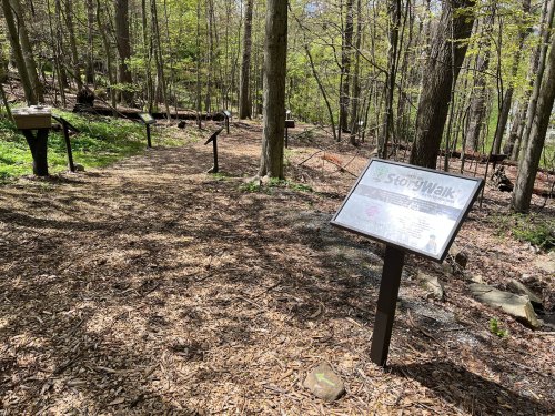 A wooded path with signs for a StoryWalk, surrounded by trees and mulch on the ground.