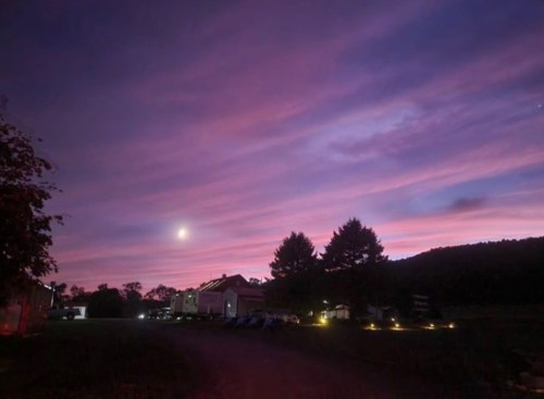 A serene twilight scene with pink and purple clouds, a bright moon, and silhouettes of trees and buildings.
